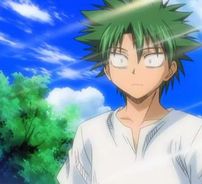 Foto de The Law of Ueki