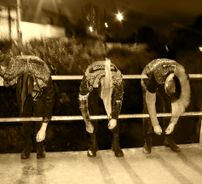 Foto de Arma Biológica