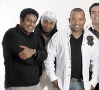 Foto de Trazendo a Arca