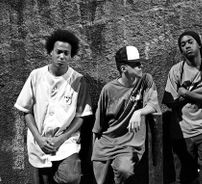 Foto de Terceira Safra