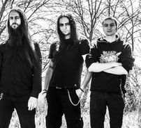 Foto de Shores of Null