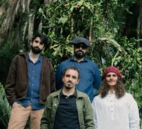 Foto de Cigarra Sem Horizonte