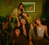 Foto de Rosa Camaleão