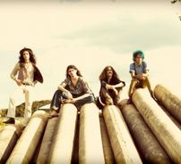 Foto de Absinto Muito