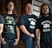 Foto de Orquídea Negra