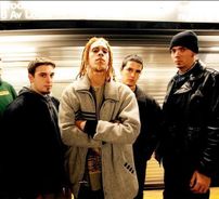 Foto de 40 Below Summer