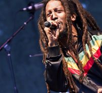 Foto de Rootz Underground