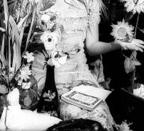 Foto de Katie Jane Garside