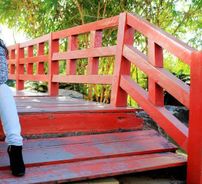 Foto de Marianne Stefany