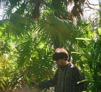 Foto de Ulysses Manso