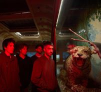 Foto de Bestia Bebé