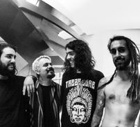 Foto de Gorila Muy Loco