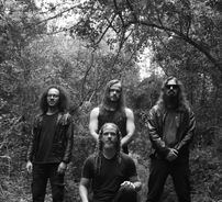 Foto de Crepúsculo dos Ídolos