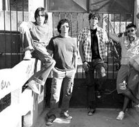 Foto de Besouros Verdez