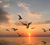 Foto de Outro Saculejo