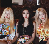 Foto de Odd Eye Circle