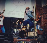 Foto de Àrvores de Carvalho