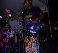 Foto de Samambaia Ornamental