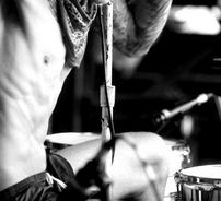 Foto de The Animal Upstairs