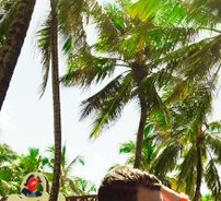 Foto de Jackson Marttins