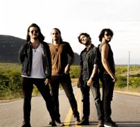 Foto de Ordem Dos Tolos