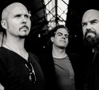 Foto de Misery Loves Co.