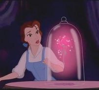 Foto de A Bela e a Fera