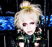 Foto de Codomo Dragon