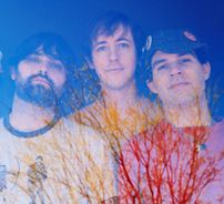 Foto de Animal Collective