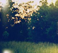 Foto de Matty Mullins