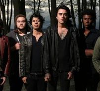 Foto de Lions!Tigers!Bears!