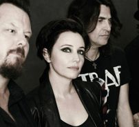 Foto de Baby Animals