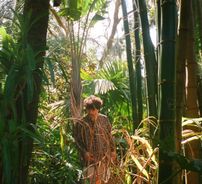 Foto de Ulysses Manso