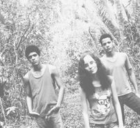 Foto de Nóz D'Alecrin