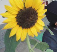 Foto de Twin Pumpkin