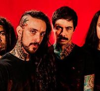 Foto de Aurora Rules