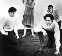 Foto de Suburban Lawns