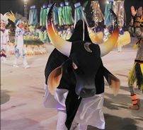 Foto de Boi Malhadinho