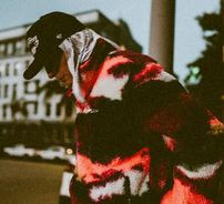 Foto de Izzy Strigel