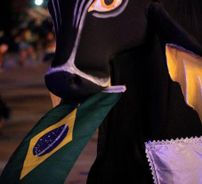 Foto de Boi Malhadinho