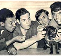 Foto de Renato e Seus Blue Caps