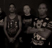 Foto de Papa Necrose