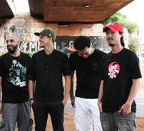 Foto de Chipanzés de Gaveta