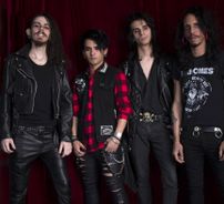 Foto de Sick Dogs in Trouble