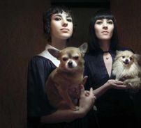 Foto de Ladytron