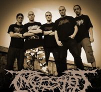 Foto de Ingested
