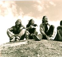 Foto de Àrvores de Carvalho