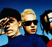 Foto de Little Quail