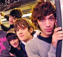 Foto de Mr White Rabbit