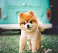 Foto de Outro Saculejo